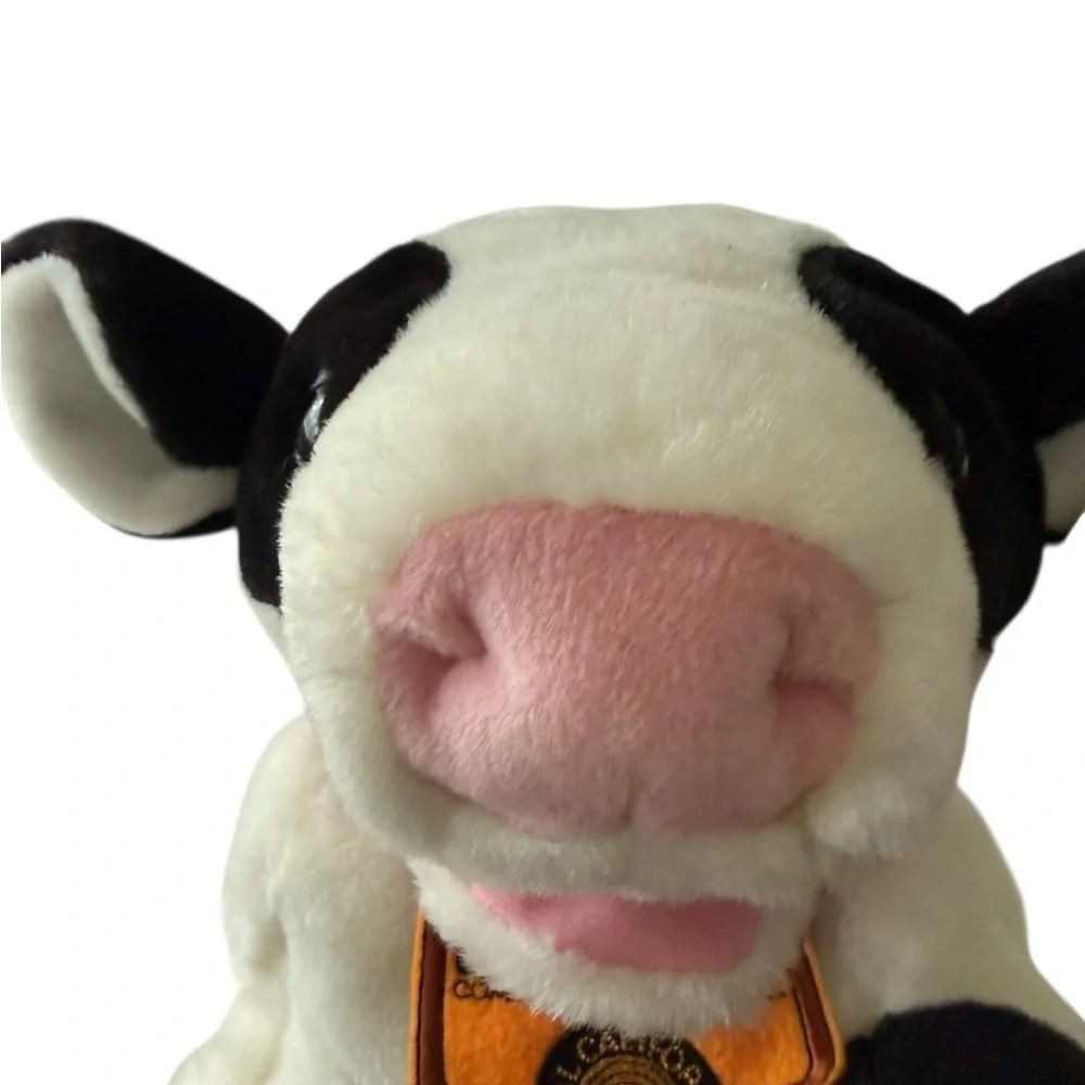 RBI california dairy